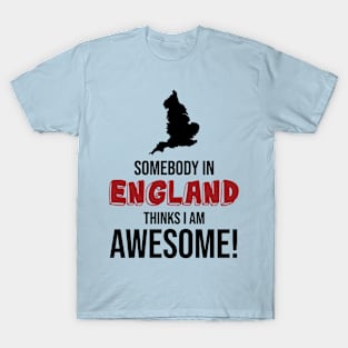 Somebody in England Thinks I Am Awesome T-Shirt